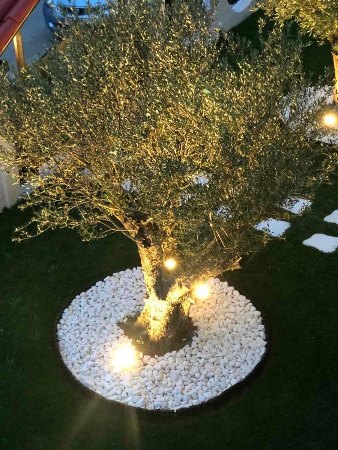 Amaryllis Luxury Rooms Platamonas Exterior photo